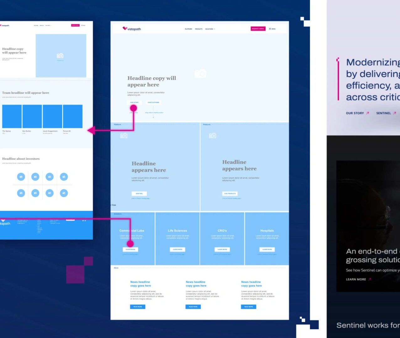 Health and life sciences tech company wireframe and website strategy