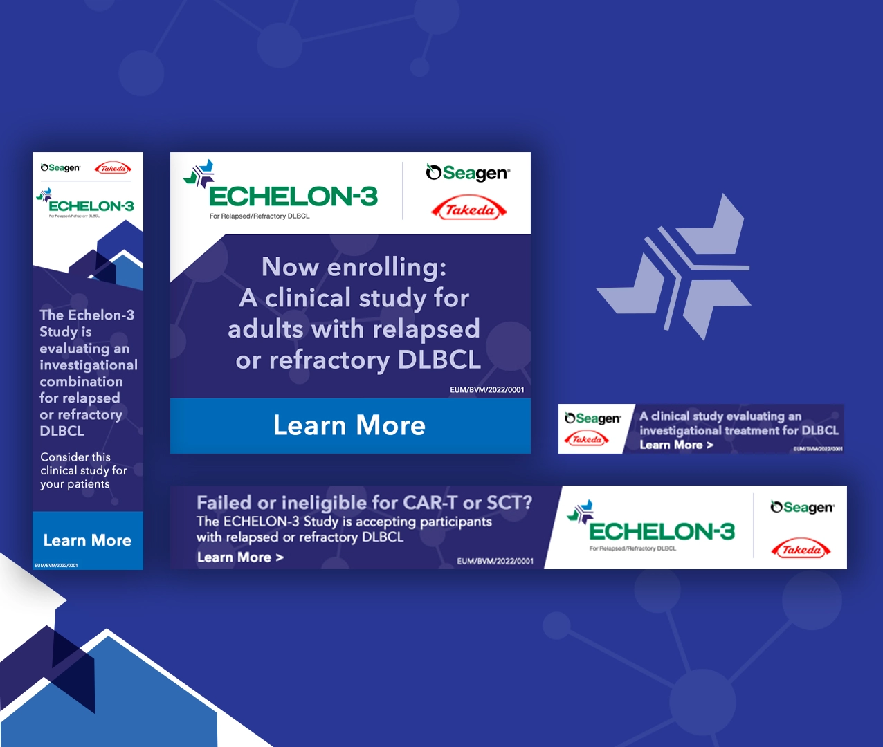 Large B-cell lymphoma clinical study patient recruitment digital marketing services